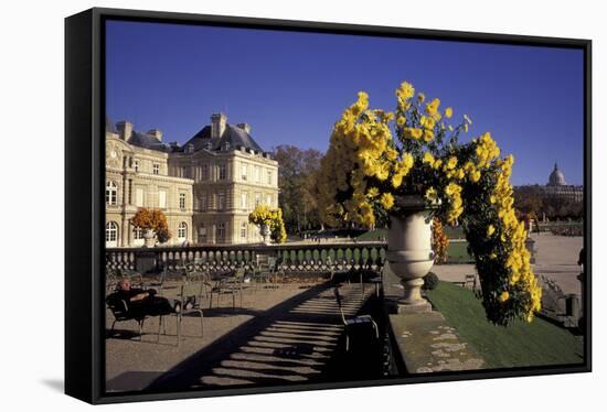 Europe, France, Paris, Luxembourg Garden-David Barnes-Framed Stretched Canvas