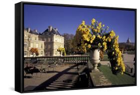 Europe, France, Paris, Luxembourg Garden-David Barnes-Framed Stretched Canvas