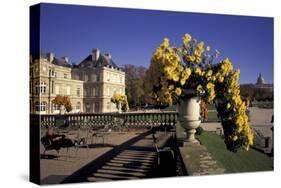 Europe, France, Paris, Luxembourg Garden-David Barnes-Stretched Canvas