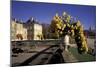 Europe, France, Paris, Luxembourg Garden-David Barnes-Mounted Photographic Print