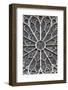 Europe, France, Paris. Stained glass windows of Notre-Dame Cathedral.-Kymri Wilt-Framed Photographic Print