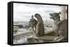 Europe, France, Paris. Two Gargoyles on the Notre Dame Cathedral-Charles Sleicher-Framed Stretched Canvas