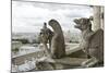 Europe, France, Paris. Two Gargoyles on the Notre Dame Cathedral-Charles Sleicher-Mounted Photographic Print