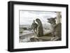 Europe, France, Paris. Two Gargoyles on the Notre Dame Cathedral-Charles Sleicher-Framed Photographic Print