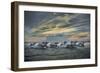 Europe, France, Provence, Camargue. Horses running through marsh at sunrise.-Jaynes Gallery-Framed Photographic Print