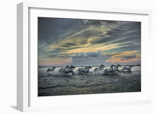 Europe, France, Provence, Camargue. Horses running through marsh at sunrise.-Jaynes Gallery-Framed Photographic Print