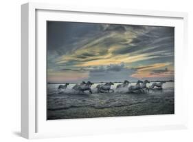 Europe, France, Provence, Camargue. Horses running through marsh at sunrise.-Jaynes Gallery-Framed Photographic Print