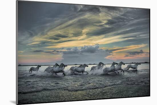 Europe, France, Provence, Camargue. Horses running through marsh at sunrise.-Jaynes Gallery-Mounted Photographic Print