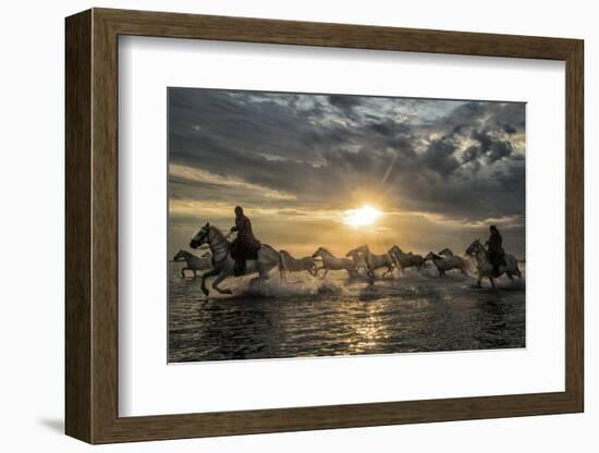 Europe, France, Provence, Camargue. Horses running through water at sunrise.-Jaynes Gallery-Framed Photographic Print