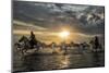 Europe, France, Provence, Camargue. Horses running through water at sunrise.-Jaynes Gallery-Mounted Photographic Print