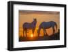 Europe, France, Provence, Camargue. Two Camargue horses at sunrise.-Jaynes Gallery-Framed Photographic Print