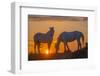 Europe, France, Provence, Camargue. Two Camargue horses at sunrise.-Jaynes Gallery-Framed Photographic Print