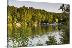 Europe, Germany, Bavaria, Alps, Walchensee-Mikolaj Gospodarek-Stretched Canvas