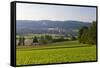 Europe, Germany, Bavaria, Upper Palatinate, R?tz, Local Overview-Chris Seba-Framed Stretched Canvas