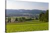 Europe, Germany, Bavaria, Upper Palatinate, R?tz, Local Overview-Chris Seba-Stretched Canvas