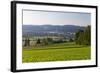 Europe, Germany, Bavaria, Upper Palatinate, R?tz, Local Overview-Chris Seba-Framed Photographic Print