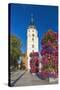 Europe, Germany, Brandenburg, Spreewald, L?bben, Market Church, Floral Decoration-Chris Seba-Stretched Canvas