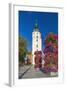 Europe, Germany, Brandenburg, Spreewald, L?bben, Market Church, Floral Decoration-Chris Seba-Framed Photographic Print