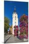 Europe, Germany, Brandenburg, Spreewald, L?bben, Market Church, Floral Decoration-Chris Seba-Mounted Photographic Print