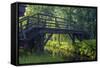 Europe, Germany, Brandenburg, Spreewald, LŸbben-Chris Seba-Framed Stretched Canvas