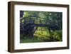 Europe, Germany, Brandenburg, Spreewald, LŸbben-Chris Seba-Framed Photographic Print