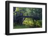 Europe, Germany, Brandenburg, Spreewald, LŸbben-Chris Seba-Framed Photographic Print