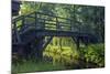 Europe, Germany, Brandenburg, Spreewald, LŸbben-Chris Seba-Mounted Photographic Print