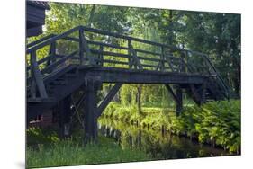 Europe, Germany, Brandenburg, Spreewald, LŸbben-Chris Seba-Mounted Premium Photographic Print