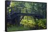 Europe, Germany, Brandenburg, Spreewald, LŸbben-Chris Seba-Framed Stretched Canvas