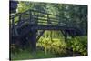 Europe, Germany, Brandenburg, Spreewald, LŸbben-Chris Seba-Stretched Canvas