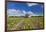 Europe, Germany, Brandenburg, Spreewald (Spree Forest), Cucumber Harvest-Chris Seba-Framed Photographic Print