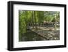 Europe, Germany, Brandenburg, Spreewald (Spree Forest), Forest Restaurant 'Wotschofska'-Chris Seba-Framed Photographic Print