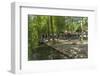 Europe, Germany, Brandenburg, Spreewald (Spree Forest), Forest Restaurant 'Wotschofska'-Chris Seba-Framed Photographic Print