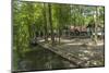 Europe, Germany, Brandenburg, Spreewald (Spree Forest), Forest Restaurant 'Wotschofska'-Chris Seba-Mounted Photographic Print