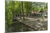 Europe, Germany, Brandenburg, Spreewald (Spree Forest), Forest Restaurant 'Wotschofska'-Chris Seba-Mounted Photographic Print