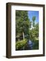 Europe, Germany, Brandenburg, Spreewald (Spree Forest), LŸbben, Harbour 2, Canal-Chris Seba-Framed Photographic Print