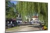 Europe, Germany, Brandenburg, Spreewald (Spree Forest), LŸbbenau, Harbour Promenade, Weeping Willow-Chris Seba-Mounted Photographic Print