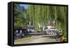 Europe, Germany, Brandenburg, Spreewald (Spree Forest), LŸbbenau, Harbour Promenade, Weeping Willow-Chris Seba-Framed Stretched Canvas