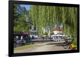 Europe, Germany, Brandenburg, Spreewald (Spree Forest), LŸbbenau, Harbour Promenade, Weeping Willow-Chris Seba-Framed Photographic Print