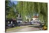 Europe, Germany, Brandenburg, Spreewald (Spree Forest), LŸbbenau, Harbour Promenade, Weeping Willow-Chris Seba-Stretched Canvas
