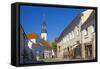 Europe, Germany, Brandenburg, Spreewald (Spree Forest), L?bbenau-Chris Seba-Framed Stretched Canvas