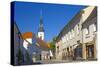 Europe, Germany, Brandenburg, Spreewald (Spree Forest), L?bbenau-Chris Seba-Stretched Canvas