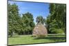 Europe, Germany, Brandenburg, Spreewald (Spree Forest), Leipe, Traditional Haycock-Chris Seba-Mounted Photographic Print