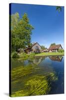 Europe, Germany, Brandenburg, Spreewald (Spree Forest), Leipe-Chris Seba-Stretched Canvas