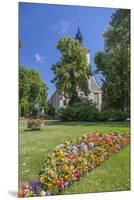 Europe, Germany, Brandenburg, Spreewald (Spree Forest), Place Burg, Town Church-Chris Seba-Mounted Premium Photographic Print