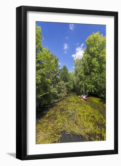 Europe, Germany, Brandenburg, Spreewald (Spree Forest), Schlepzig, Canoe Driver-Chris Seba-Framed Photographic Print