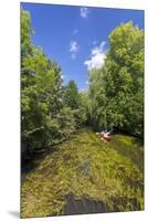 Europe, Germany, Brandenburg, Spreewald (Spree Forest), Schlepzig, Canoe Driver-Chris Seba-Mounted Premium Photographic Print