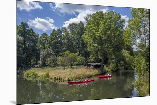 Europe, Germany, Brandenburg, Spreewald (Spree Forest), Schlepzig, Canoe Driver-Chris Seba-Mounted Premium Photographic Print