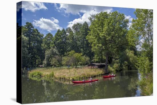 Europe, Germany, Brandenburg, Spreewald (Spree Forest), Schlepzig, Canoe Driver-Chris Seba-Stretched Canvas