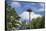 Europe, Germany, Brandenburg, Spreewald (Spree Forest), Storchennest, Stork-Chris Seba-Framed Stretched Canvas